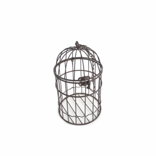 Metal oxide cage