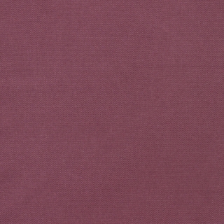 Aubergine