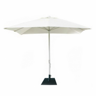 Parasol