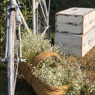 BASKETS, BOXES, TRUNKS AND BUCKETS