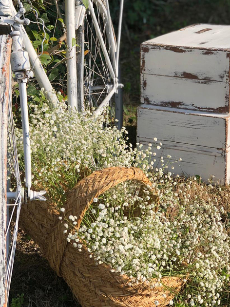 Baskets, boxes, trunks and buckets